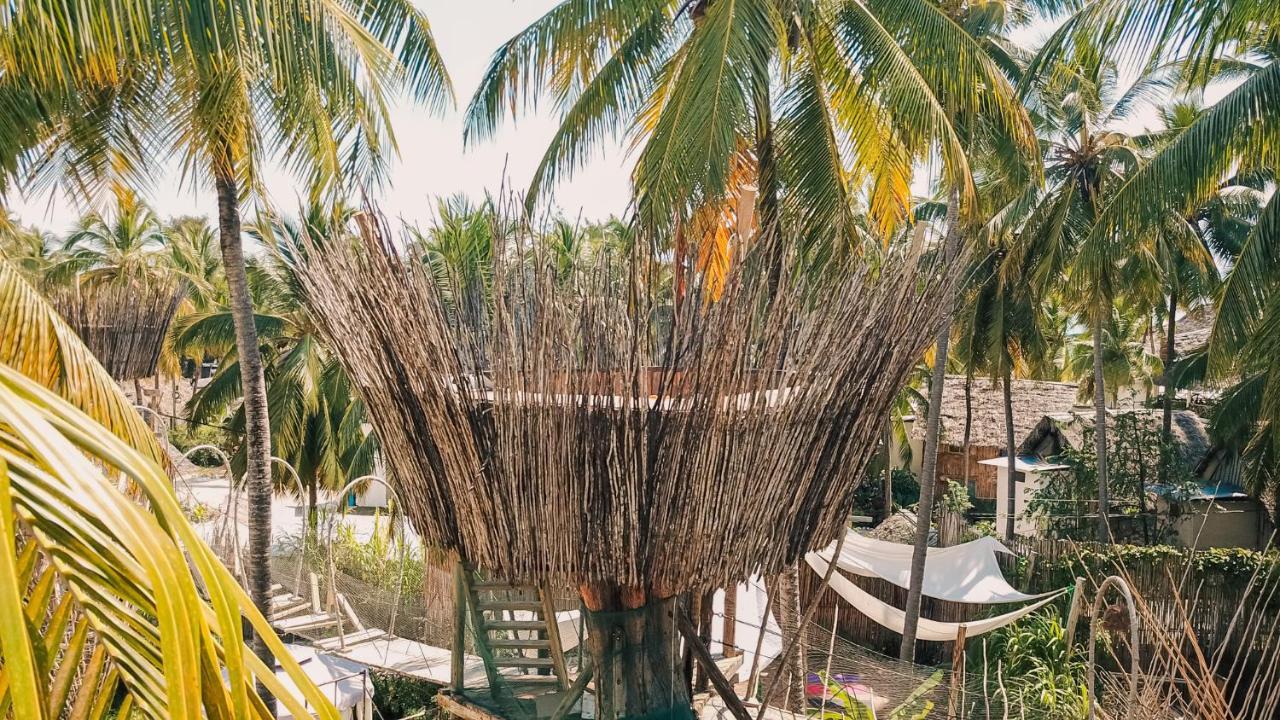 The Nest Boutique Resort Paje Exterior photo